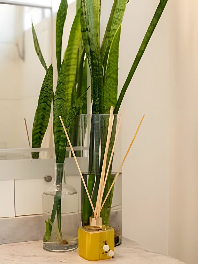 Casa Pantuso - Oásis de conforto