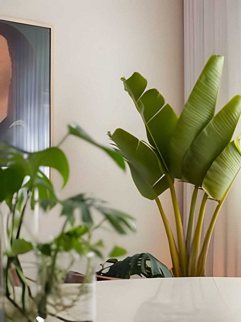 Casa Pantuso - Oásis de conforto