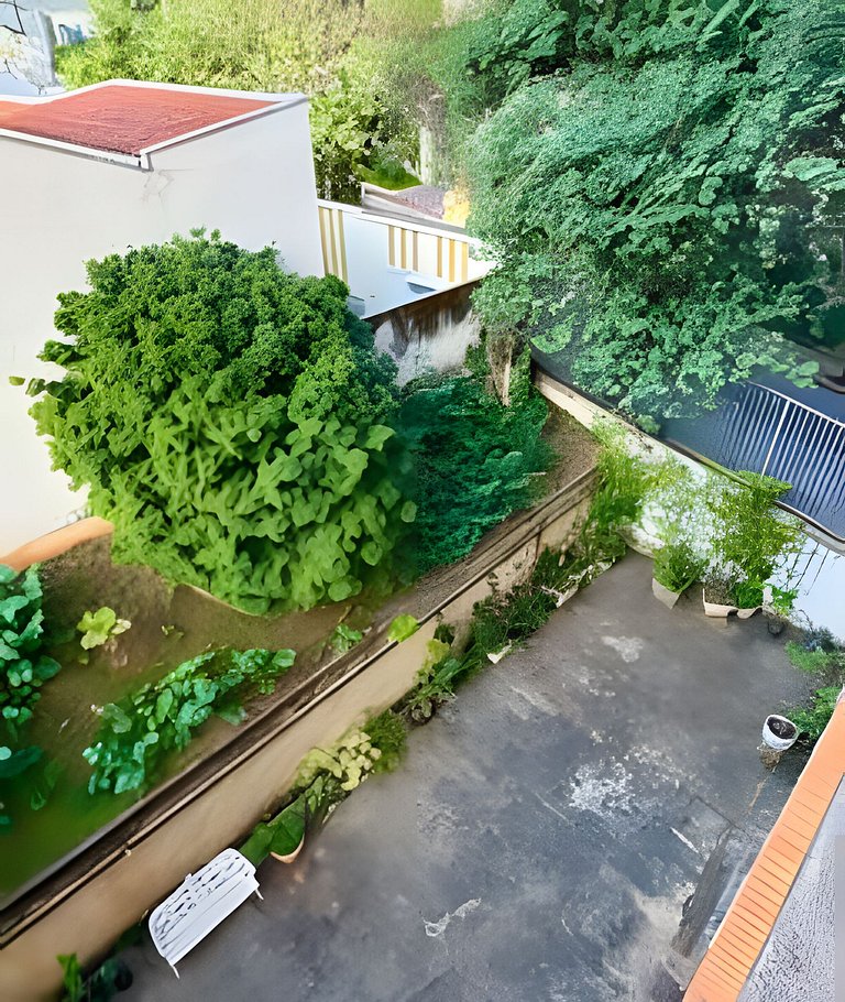 Casa Pantuso - Pau Brasil